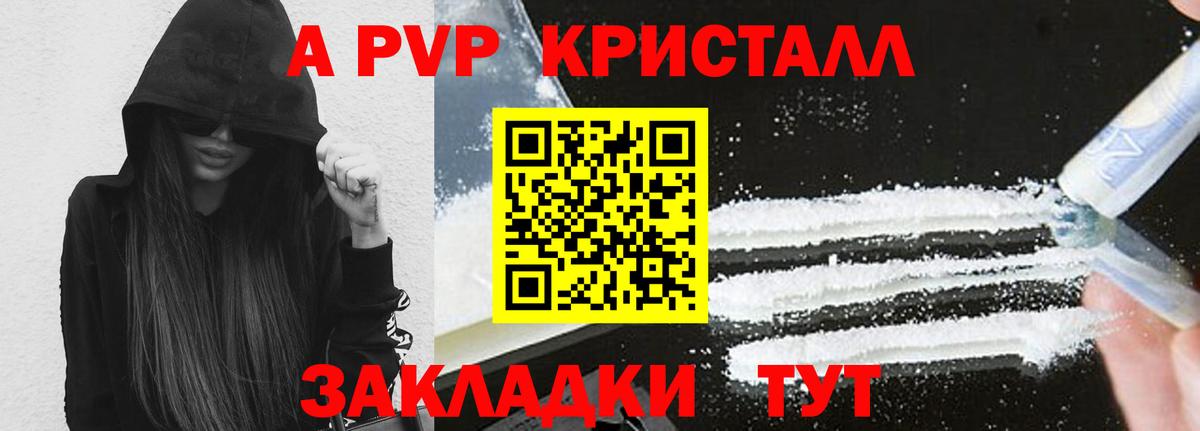 Альфа ПВП СК Курчатов