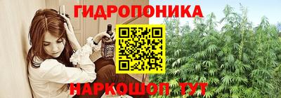 ECSTASY Канаш