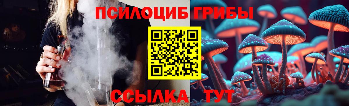 Курчатов  что такое наркотик  Вход с VPN  Псилоцибиновые грибы Psilocybine cubensis 