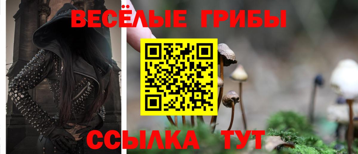 Галлюциногенные грибы прущие грибы Курчатов