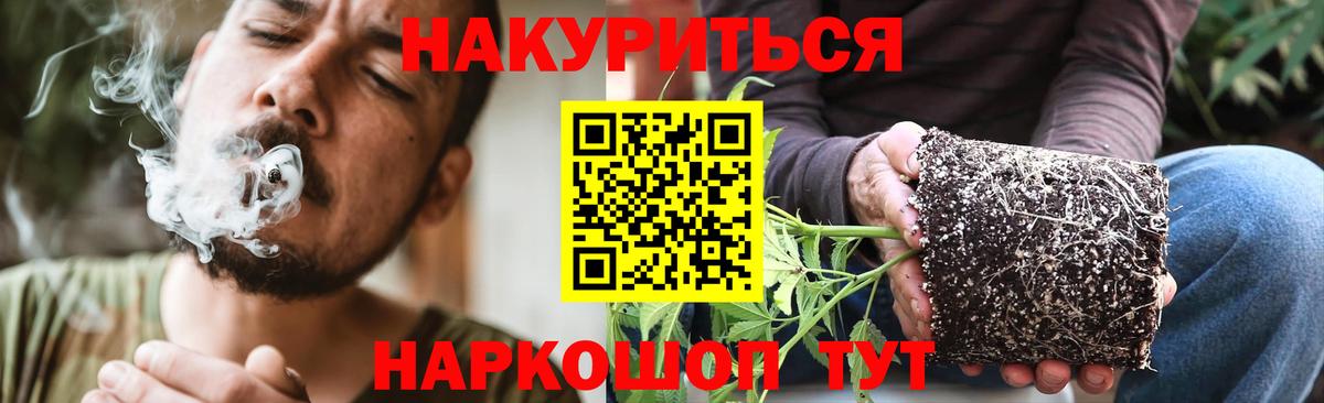 МАРИХУАНА тримм  Бошки марихуана Bruce Banner  Вход с VPN  Курчатов  Бошки марихуана марихуана 